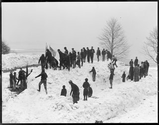 Amazing Boston Island Boat Tours