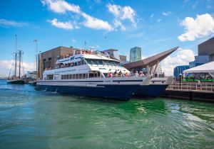 Best Boston Harbor Tours Whale Watching Packages